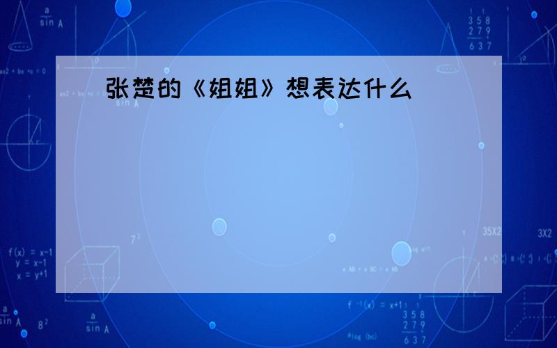 张楚的《姐姐》想表达什么