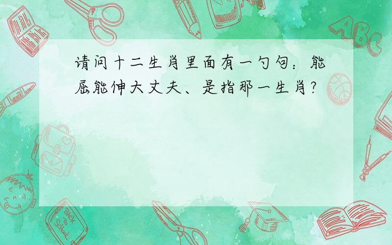 请问十二生肖里面有一勺句：能屈能伸大丈夫、是指那一生肖?