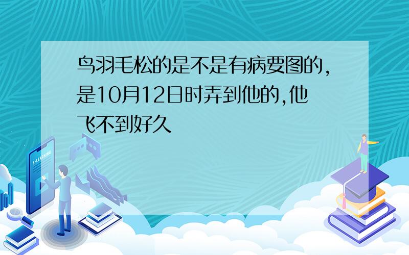 鸟羽毛松的是不是有病要图的,是10月12日时弄到他的,他飞不到好久