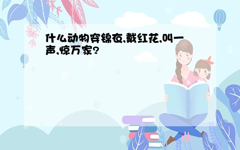 什么动物穿锦衣,戴红花,叫一声,惊万家?