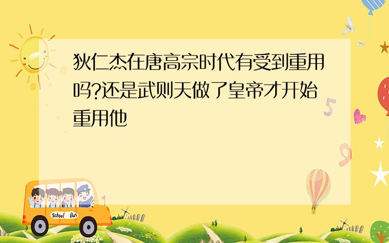 狄仁杰在唐高宗时代有受到重用吗?还是武则天做了皇帝才开始重用他