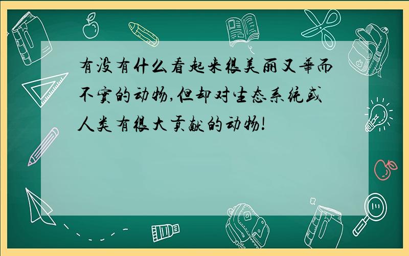 有没有什么看起来很美丽又华而不实的动物,但却对生态系统或人类有很大贡献的动物!