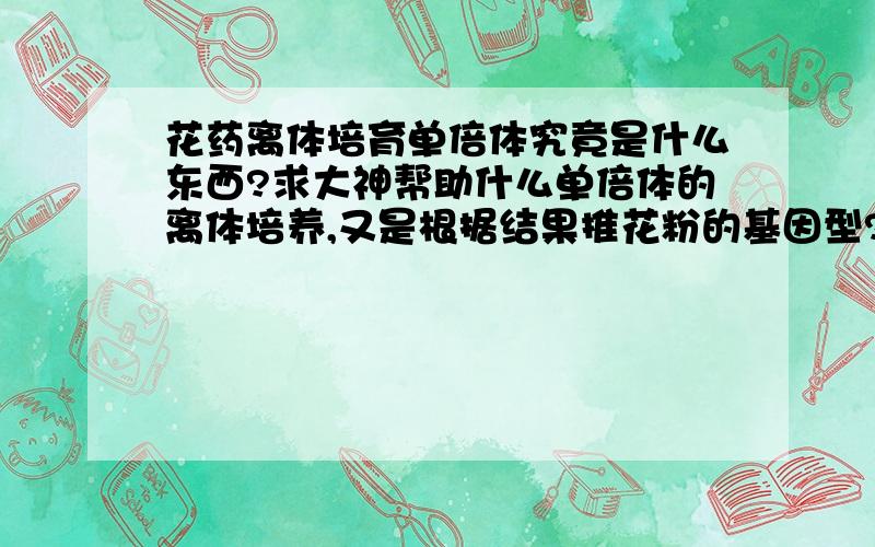 花药离体培育单倍体究竟是什么东西?求大神帮助什么单倍体的离体培养,又是根据结果推花粉的基因型?麻烦精通的朋友说详细点!