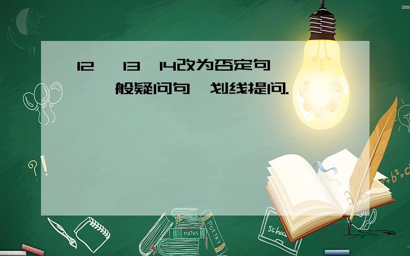 12 ,13,14改为否定句,一般疑问句,划线提问.