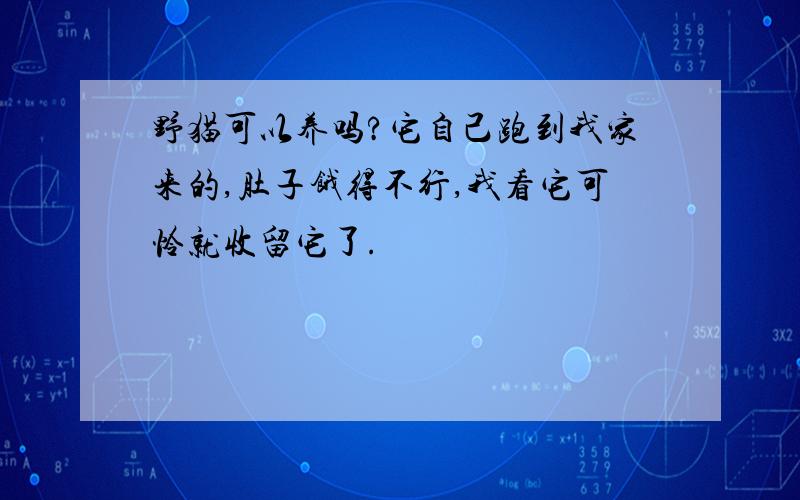 野猫可以养吗?它自己跑到我家来的,肚子饿得不行,我看它可怜就收留它了.