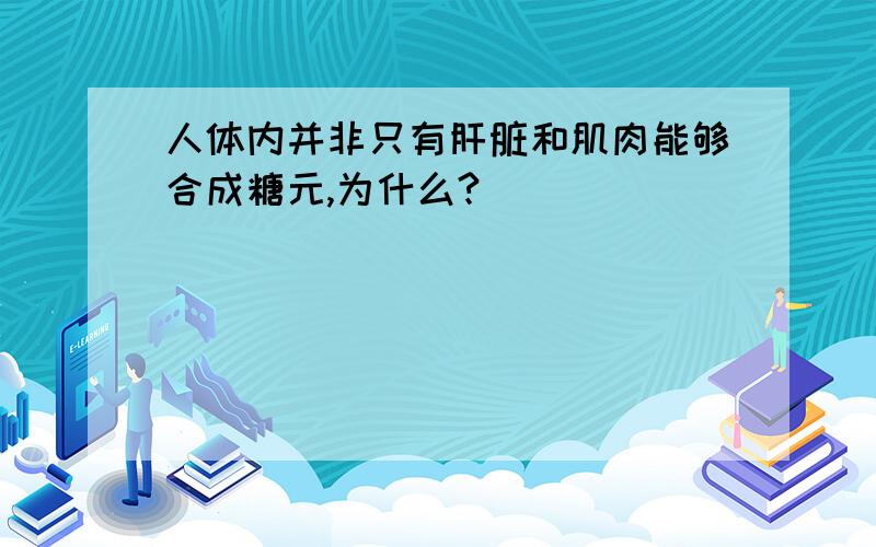 人体内并非只有肝脏和肌肉能够合成糖元,为什么?