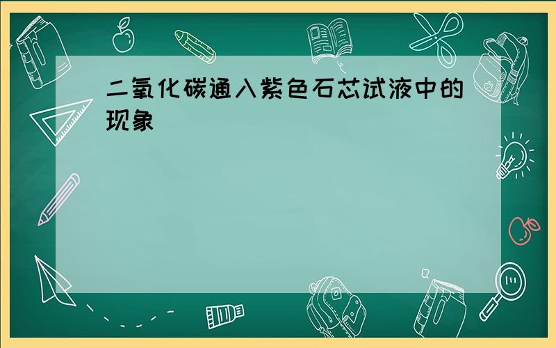 二氧化碳通入紫色石芯试液中的现象