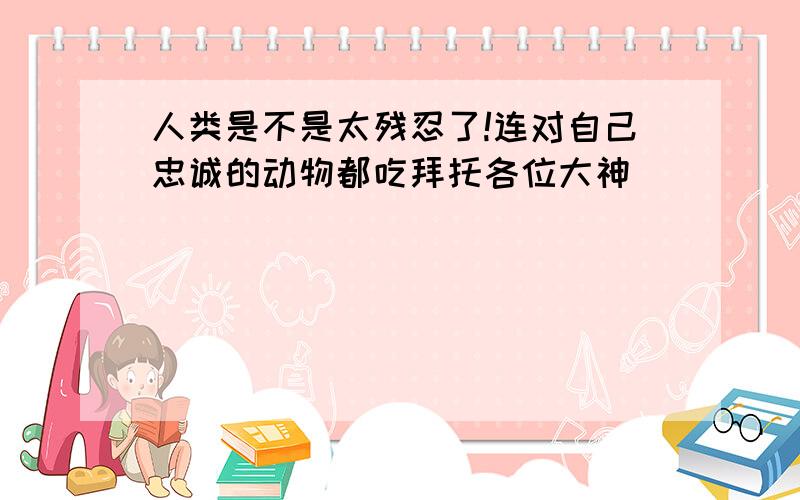 人类是不是太残忍了!连对自己忠诚的动物都吃拜托各位大神