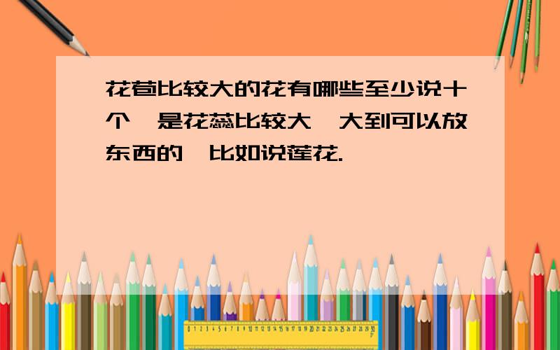 花苞比较大的花有哪些至少说十个,是花蕊比较大,大到可以放东西的,比如说莲花.