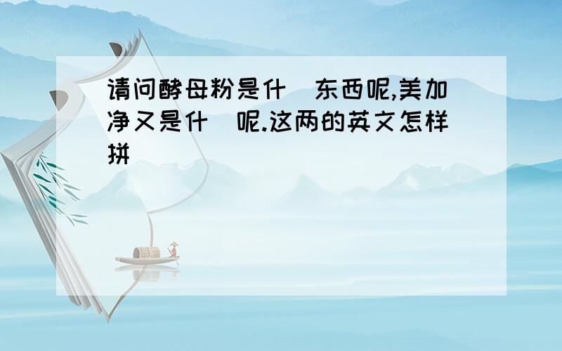 请问酵母粉是什麼东西呢,美加净又是什麼呢.这两的英文怎样拼