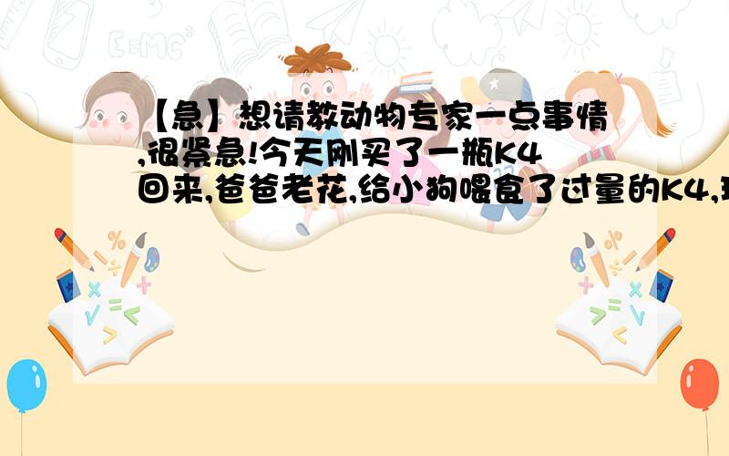 【急】想请教动物专家一点事情,很紧急!今天刚买了一瓶K4回来,爸爸老花,给小狗喂食了过量的K4,现在怎么办?本来说明书上写的用量是：2-4MG（急0.5-1片）每次,一日3次,可是爸爸给小狗一次就