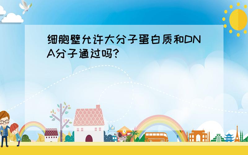 细胞壁允许大分子蛋白质和DNA分子通过吗?