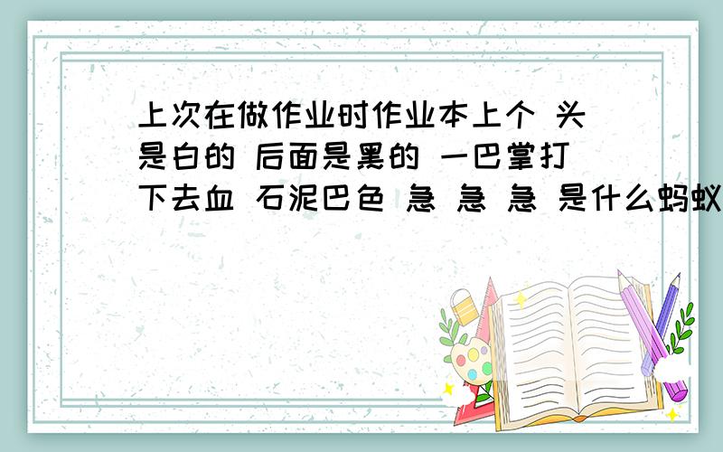 上次在做作业时作业本上个 头是白的 后面是黑的 一巴掌打下去血 石泥巴色 急 急 急 是什么蚂蚁?急 急 急