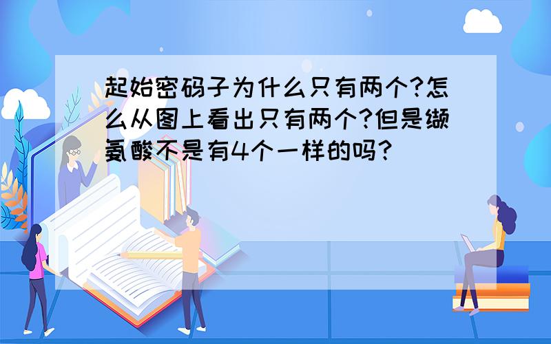 起始密码子为什么只有两个?怎么从图上看出只有两个?但是缬氨酸不是有4个一样的吗？