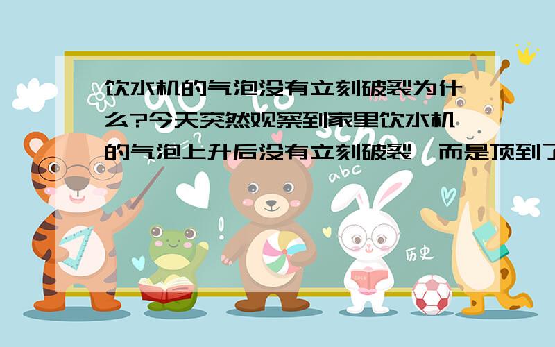 饮水机的气泡没有立刻破裂为什么?今天突然观察到家里饮水机的气泡上升后没有立刻破裂,而是顶到了四周再破裂,请问这是为什么?还有在饮水机中央,附着一些小气泡,趴在饮水机上,但体积非