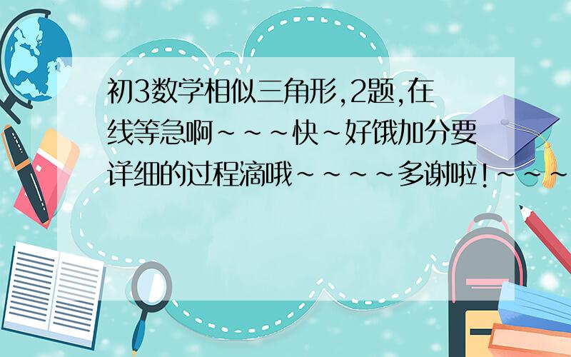 初3数学相似三角形,2题,在线等急啊~~~快~好饿加分要详细的过程滴哦~~~~多谢啦!~~~~1.已知角BAD=角BCE,角ABD=角CBE.求证:三角形ABC相似三角形DBEhttp://hiphotos.baidu.com/%C0%BC%C9%AB%CA%A5%D3%F2/abpic/item/2c6e2ed6