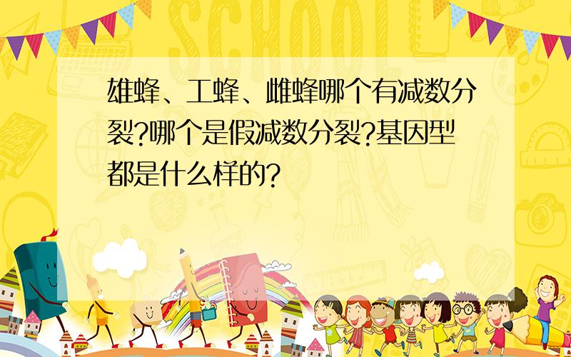 雄蜂、工蜂、雌蜂哪个有减数分裂?哪个是假减数分裂?基因型都是什么样的?