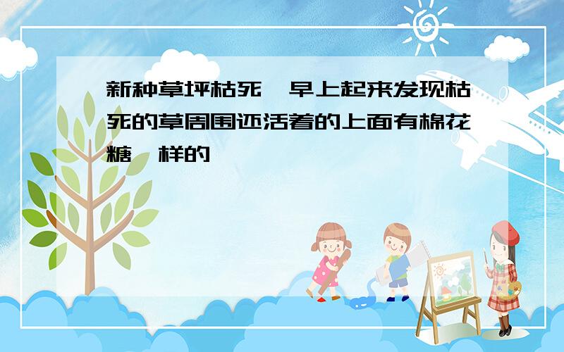 新种草坪枯死,早上起来发现枯死的草周围还活着的上面有棉花糖一样的,