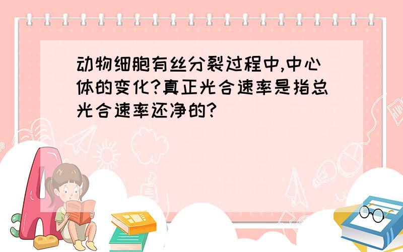 动物细胞有丝分裂过程中,中心体的变化?真正光合速率是指总光合速率还净的?