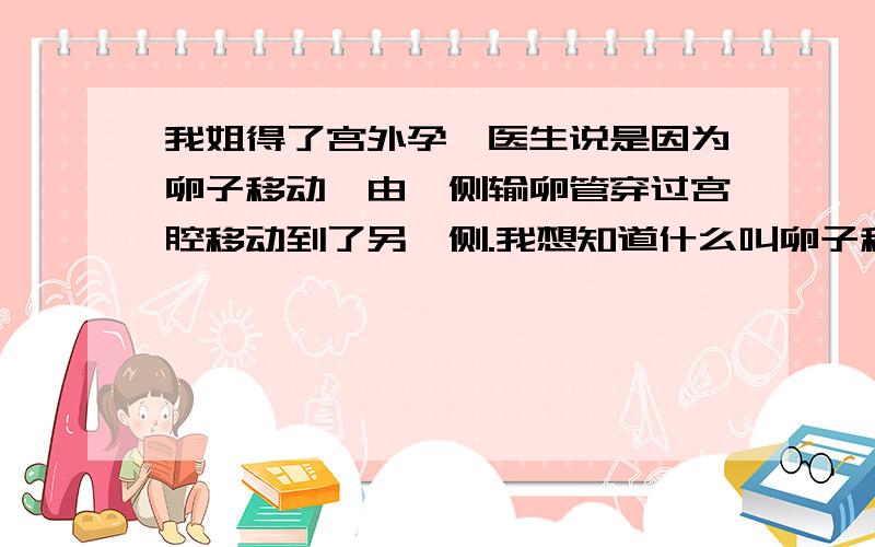 我姐得了宫外孕,医生说是因为卵子移动,由一侧输卵管穿过宫腔移动到了另一侧.我想知道什么叫卵子移动?它为什么会移动,有什么办法治疗吗?已经动过手术了,问题是以后怀孕还会这样吗?应