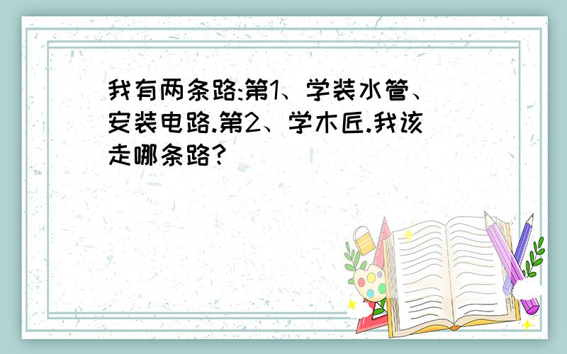 我有两条路:第1、学装水管、安装电路.第2、学木匠.我该走哪条路?