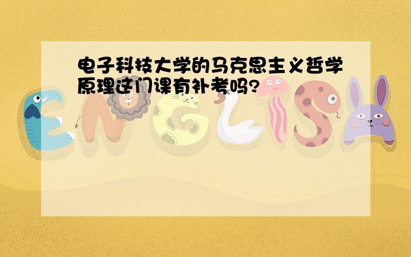 电子科技大学的马克思主义哲学原理这门课有补考吗?