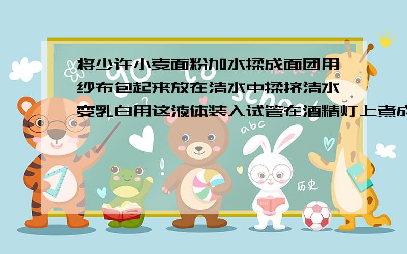 将少许小麦面粉加水揉成面团用纱布包起来放在清水中揉挤清水变乳白用这液体装入试管在酒精灯上煮成糊状冷却后滴几滴碘液,液体的颜色变化是【 】这个实验证明【 】