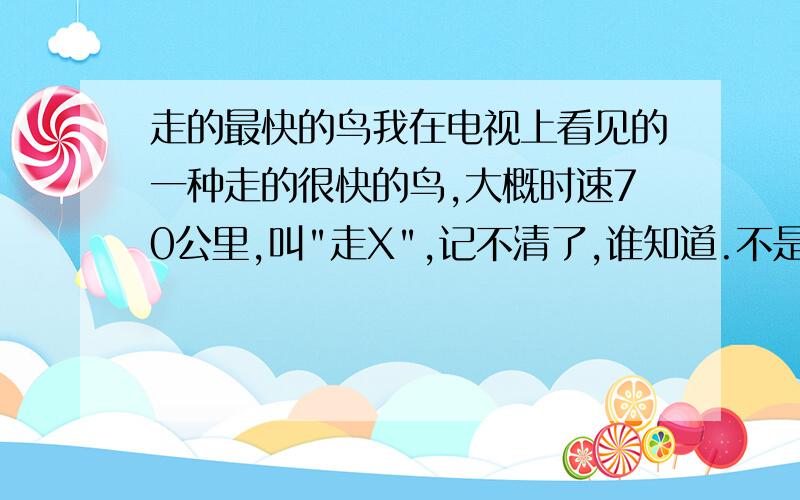 走的最快的鸟我在电视上看见的一种走的很快的鸟,大概时速70公里,叫