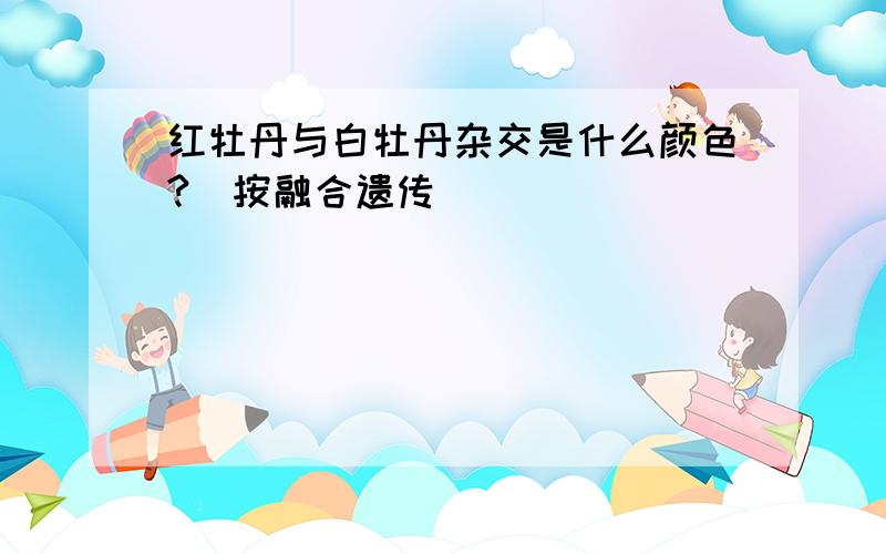 红牡丹与白牡丹杂交是什么颜色?(按融合遗传)