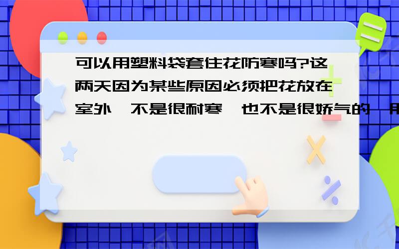 可以用塑料袋套住花防寒吗?这两天因为某些原因必须把花放在室外,不是很耐寒,也不是很娇气的,用塑料袋套上可以么?要开点透气孔吗?