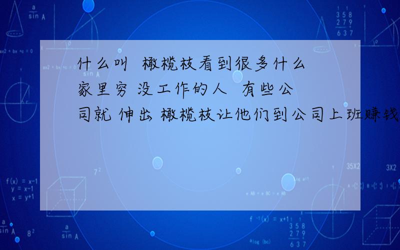 什么叫  橄榄枝看到很多什么家里穷 没工作的人  有些公司就 伸出 橄榄枝让他们到公司上班赚钱为什么叫 橄榄枝  橄榄枝 这词的来由是什么?