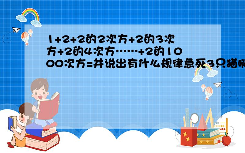 1+2+2的2次方+2的3次方+2的4次方……+2的1000次方=并说出有什么规律急死3只猫啊~~~~~~~~~~~~~~~~~