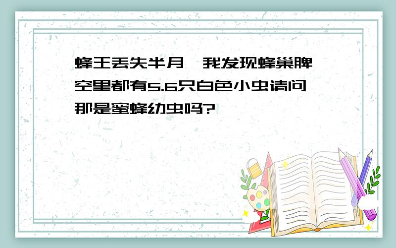 蜂王丢失半月,我发现蜂巢脾一空里都有5.6只白色小虫请问那是蜜蜂幼虫吗?