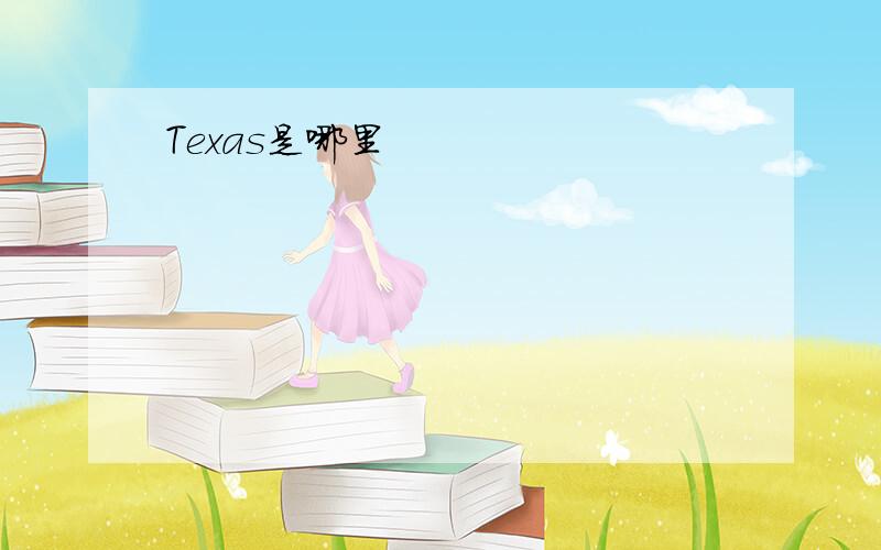 Texas是哪里