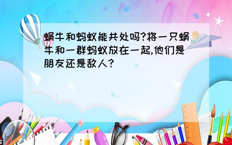 蜗牛和蚂蚁能共处吗?将一只蜗牛和一群蚂蚁放在一起,他们是朋友还是敌人?