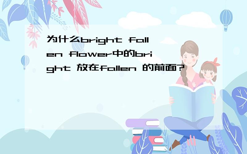 为什么bright fallen flower中的bright 放在fallen 的前面?