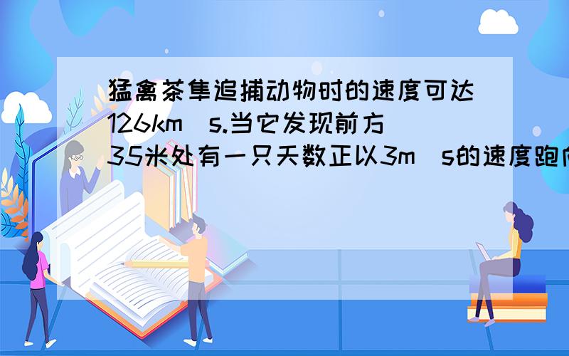 猛禽茶隼追捕动物时的速度可达126km\s.当它发现前方35米处有一只天数正以3m\s的速度跑向10米外的一个洞的猛禽茶隼追捕动物时的速度可达126km\s.当它发现前方35米处有一只天数正以3m\s的速度