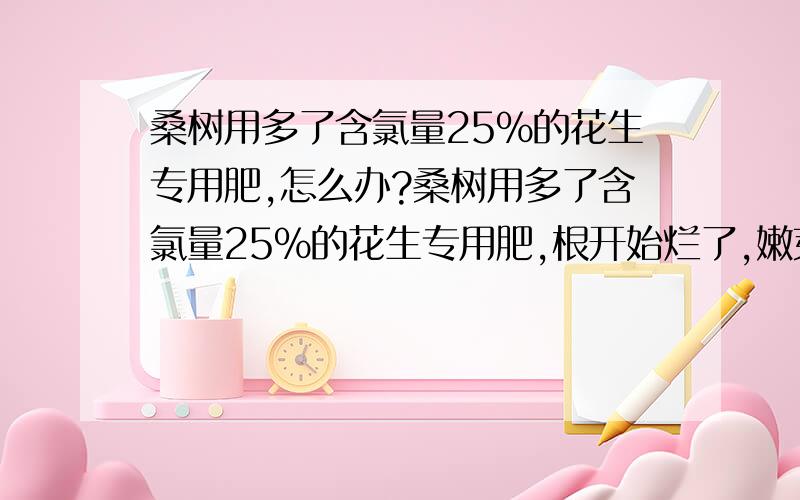 桑树用多了含氯量25%的花生专用肥,怎么办?桑树用多了含氯量25%的花生专用肥,根开始烂了,嫩芽开始干枯,大叶子也开始萎缩,上完化肥10天左右了,怎么救呢?感激不尽!