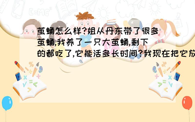 茧蛹怎么样?姐从丹东带了很多茧蛹,我养了一只大茧蛹,剩下的都吃了,它能活多长时间?我现在把它放到一个纸杯里,还加了一点水,它能活么?还有它吃什么?还有它长大了是娥子?就这些,