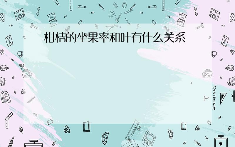 柑桔的坐果率和叶有什么关系