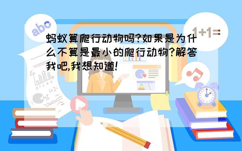 蚂蚁算爬行动物吗?如果是为什么不算是最小的爬行动物?解答我吧,我想知道!