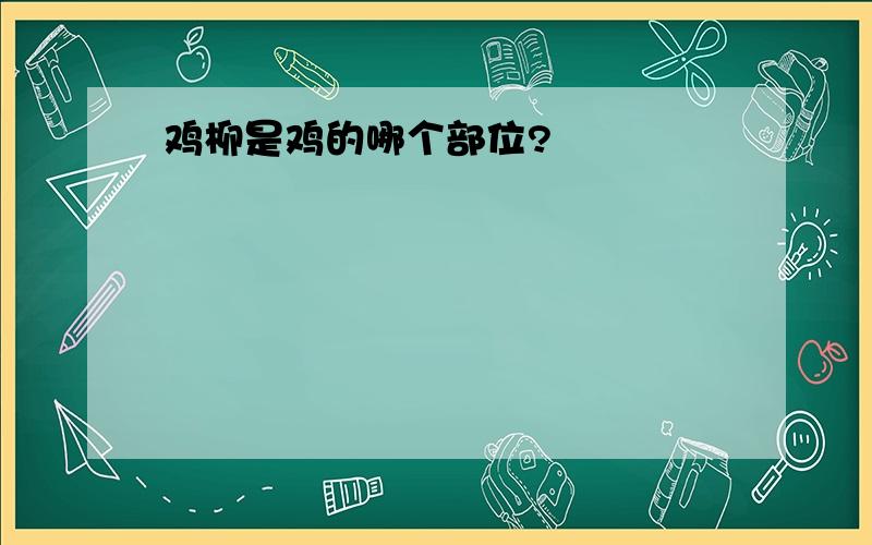 鸡柳是鸡的哪个部位?