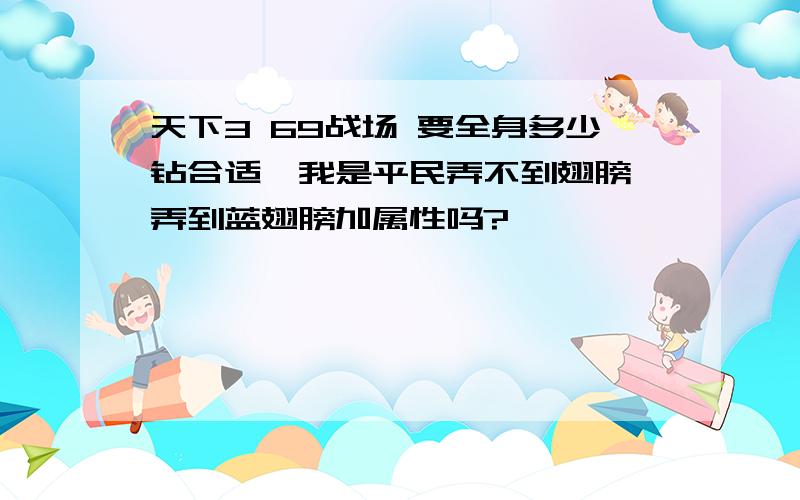 天下3 69战场 要全身多少钻合适,我是平民弄不到翅膀,弄到蓝翅膀加属性吗?