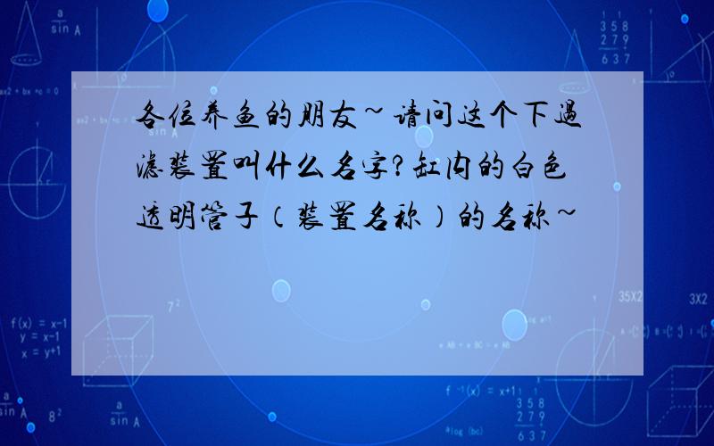 各位养鱼的朋友~请问这个下过滤装置叫什么名字?缸内的白色透明管子（装置名称）的名称~