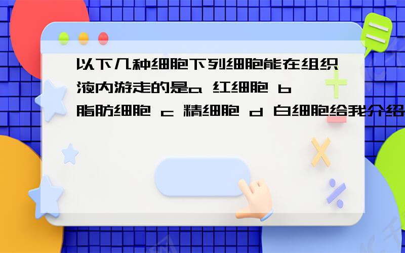 以下几种细胞下列细胞能在组织液内游走的是a 红细胞 b 脂肪细胞 c 精细胞 d 白细胞给我介绍 什么是 精细胞 它存在于什么地方 精子周围是组织夜吗?什么是白细胞 他又存在与什么地方 对人