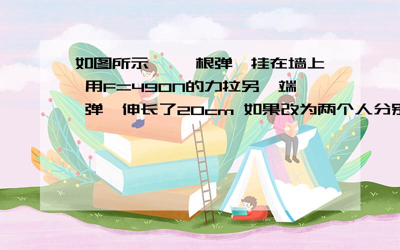 如图所示、 一根弹簧挂在墙上 用F=490N的力拉另一端 弹簧伸长了20cm 如果改为两个人分别拉弹簧的两端 把它也拉长20cm 则每个人各自用的力F1=?F2=?附：图