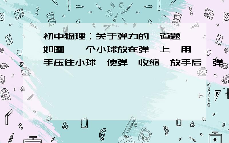 初中物理：关于弹力的一道题 如图,一个小球放在弹簧上,用手压住小球,使弹簧收缩,放手后,弹簧伸张,小球做加速直线运动.画出小球受到的力的示意图.我认为是有三个力：弹力、支持力、重