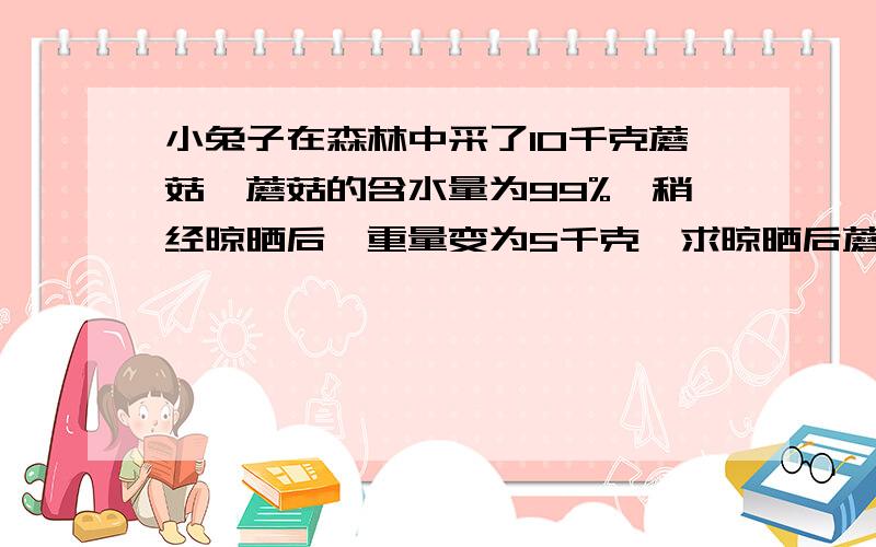 小兔子在森林中采了10千克蘑菇,蘑菇的含水量为99%,稍经晾晒后,重量变为5千克,求晾晒后蘑菇含水量?