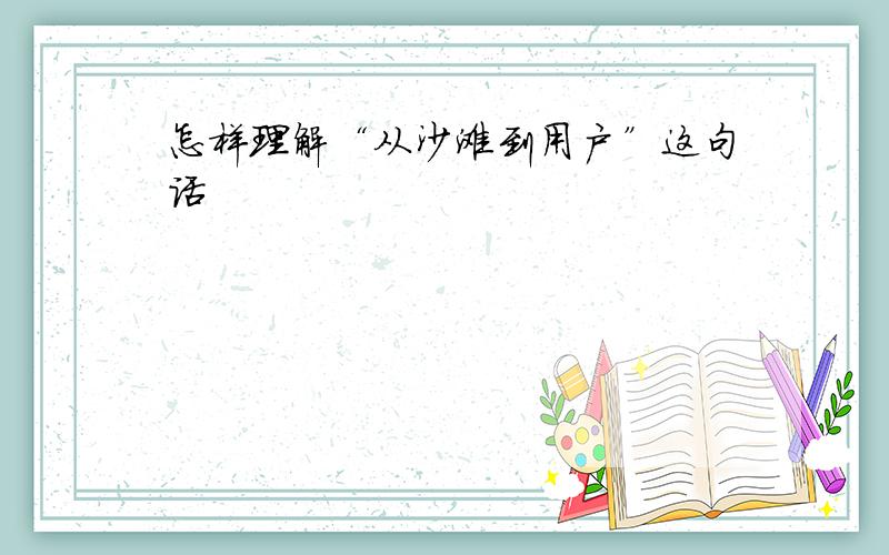 怎样理解“从沙滩到用户”这句话