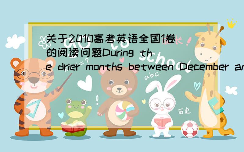 关于2010高考英语全国1卷的阅读问题During the drier months between December and March hoatzins fly about the forest in groups of 20 to 30 birds, but in April, when the rainy season begins, they collect together in smaller living units of